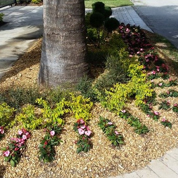 Our Work