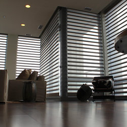 Hunter Douglas Pirouettes - Chicago - Window Treatments