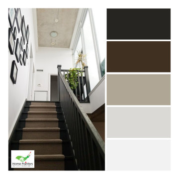 Variety of Color Palettes