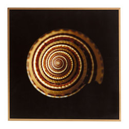 SUNDIAL SHELL WALL ART &ndash; ATLANTIC - NEW - Wall Decor