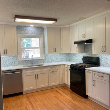 Transitional Kitchen Remodel Done in a Polar White Shaker Door