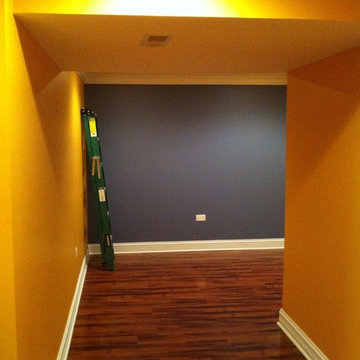 Chicago Suburbs basement