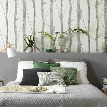 Tapete | Stylisches Birkenmotiv - Kollektion Paradisio