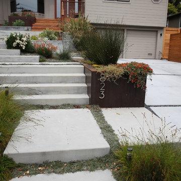 Modern Belmont Entry Garden