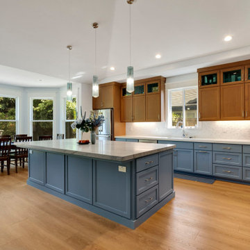 Kitchen & Family Room Remodel
