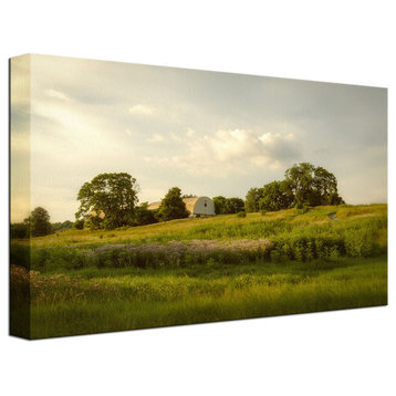 Remnant of Better Days Rural Landscape Photo Canvas Wall Art Print, 16" X 20"