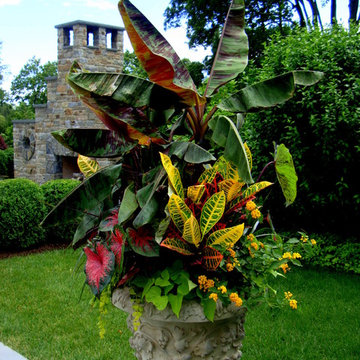 Annual display