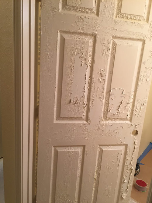 Strip Paint From Interior Door Or Replace