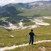 Тая Светикова's photo