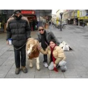 Nora Salaverria's photo