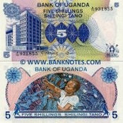 Nasamba Mubarak's photo