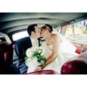 Elyse Kelly's photo