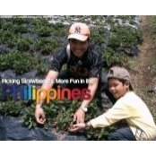 Manny Jose's photo