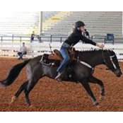 Kimberly Minot's photo