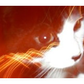 Foto de Karen Campbell Catrow
