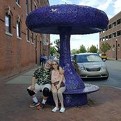 Darlene Ehrhart's photo