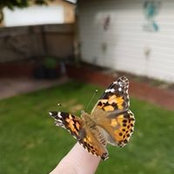 Melissa Sewards's photo