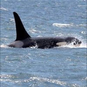 Loretta Hostetler's photo