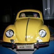 Amy Weber's photo