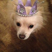 Michelle Baldwin's photo