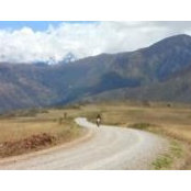 Humberto Collado's photo