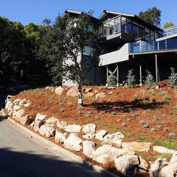 Low Maintenance & Drought Tolerant