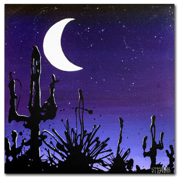 'Desert Moon' Canvas Art by Roderick Stevens