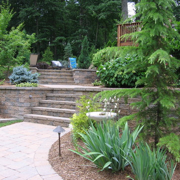 Pool Deck & Oasis