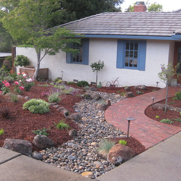 Low-Water Perennial Front Yard Newly Planted
