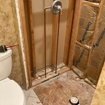 Shower renovation