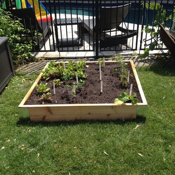 Pool Side Edible Garden