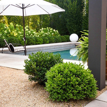 boxwood