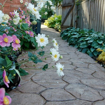 Favorite Plant Materials & Miscellaneous Garden life