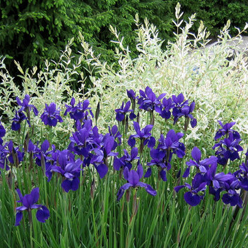 Plantings