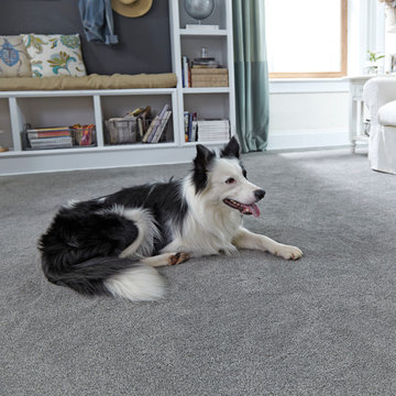 STAINMASTER® PetProtect™ carpet