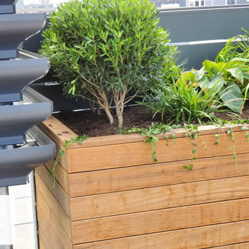 Ipe Roofdeck Condo Common Area Long Island City, NY