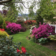 Landscape Ideas