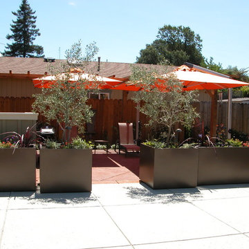 Novato contemporary garden