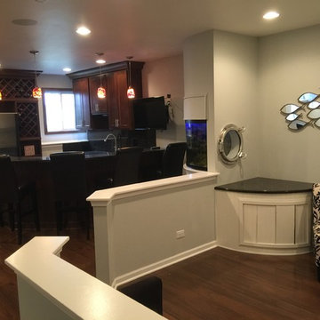 Lake Zurich Basement