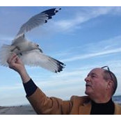David Rodwell's photo