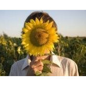 Ethan Arpi's photo