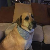 Diane Hammond's photo