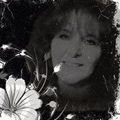 Donna Wilson's photo