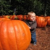 Jessica Sheehy's photo