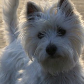 Charlotte Whitaker's photo