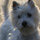 charlotte_202_mac