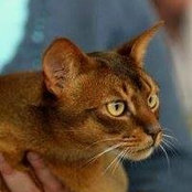 Melissa Mitchell's photo