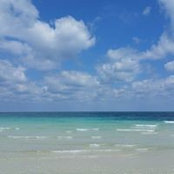 Brandy Bowman's photo