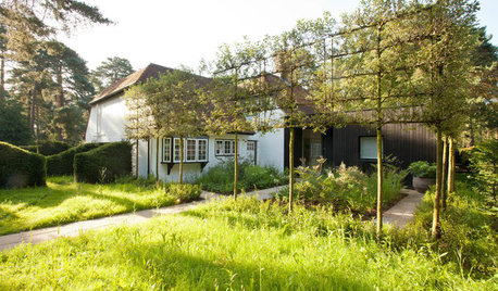 Gartenbesuch: Ein grüner Hof als Brücke zwischen Haus und Anbau