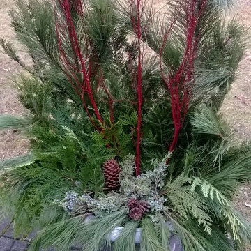 Winter containers